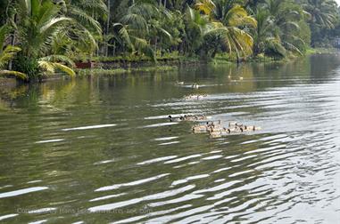 Houseboat-Tour from Alleppey to Kollam_DSC6620_H600